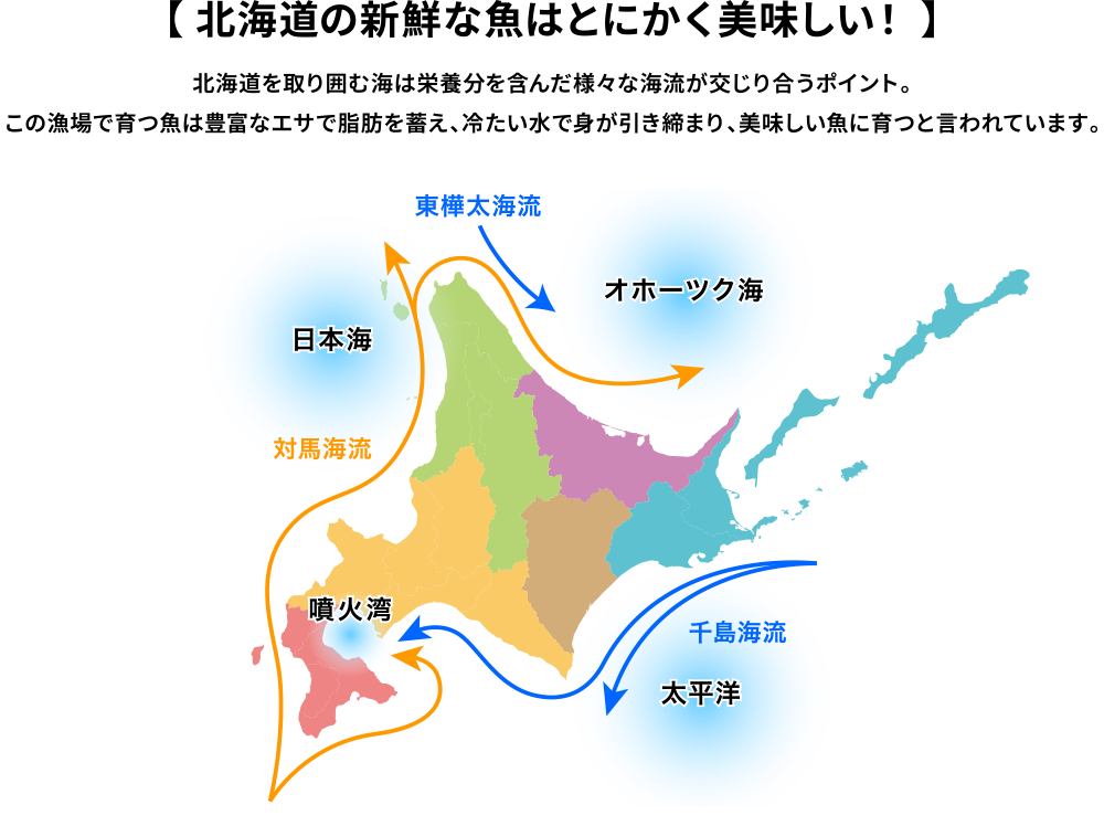 北海道の新鮮な魚はとにかく美味しい！北海道を取り囲む海は栄養分を含んだ様々な海流が交じり合うポイント。この漁場で育つ魚は豊富なエサで脂肪を蓄え、冷たい水で身が引き締まり、美味しい魚に育つと言われています。