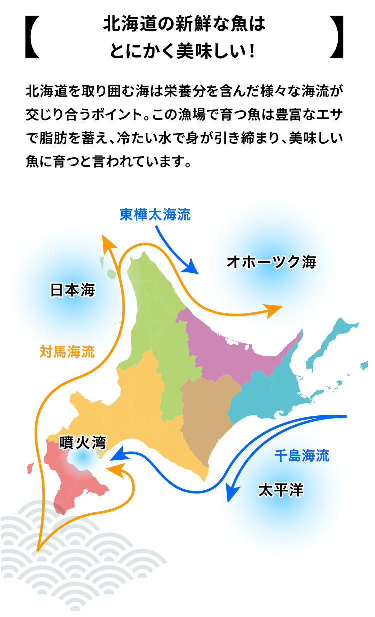 北海道の新鮮な魚はとにかく美味しい！北海道を取り囲む海は栄養分を含んだ様々な海流が交じり合うポイント。この漁場で育つ魚は豊富なエサで脂肪を蓄え、冷たい水で身が引き締まり、美味しい魚に育つと言われています。